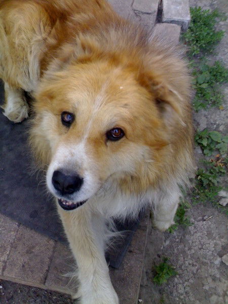 Павел Коротких