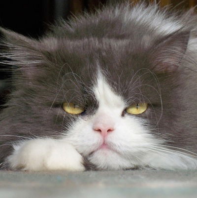 Инна Кондратьева