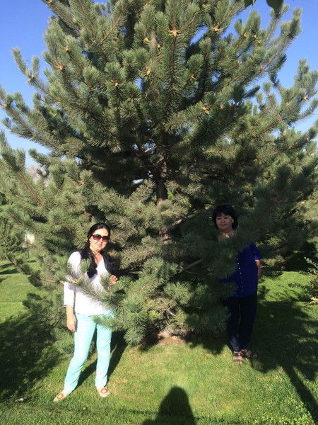 Райса Изтурганова