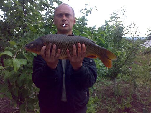 Олег Скорич