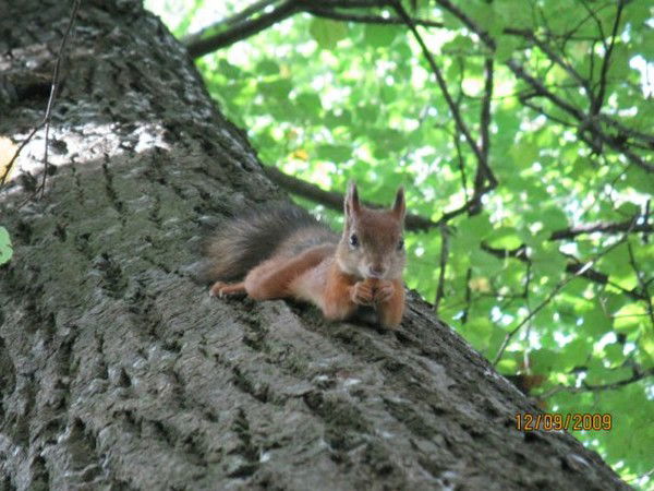 Александра Михайловна