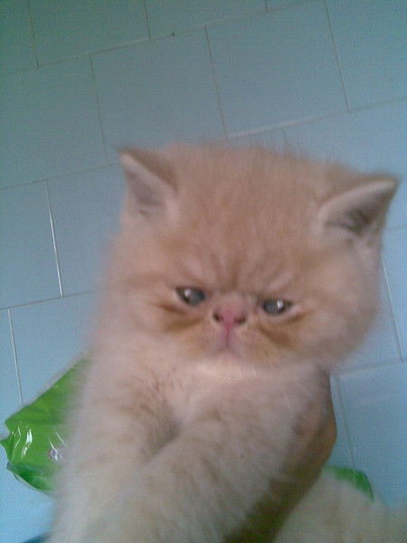 Галина Зарубина