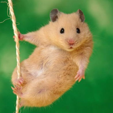 Тмт_01 Учебная,50 Сушивок