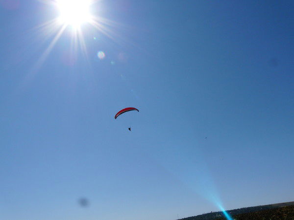 Рома Сергеев