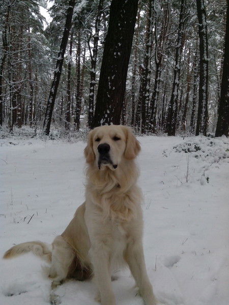 Дим Димыч Космачёв