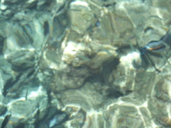 Виктория Черепанова