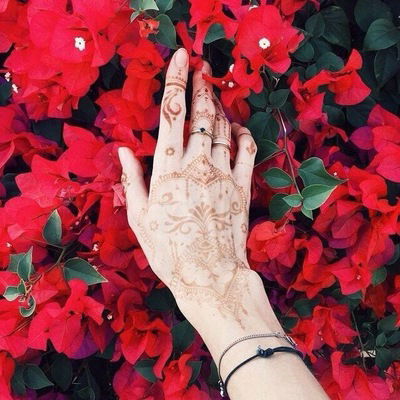 Лусине Кароян