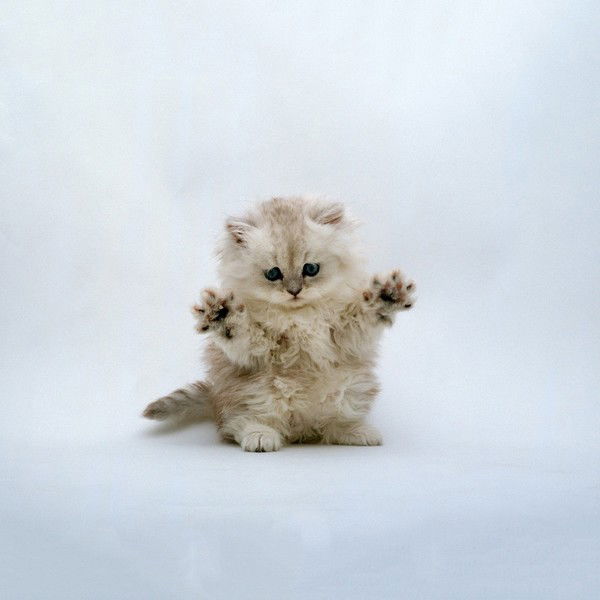 Ирина Сутункова