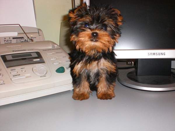 Наталья Люшакова