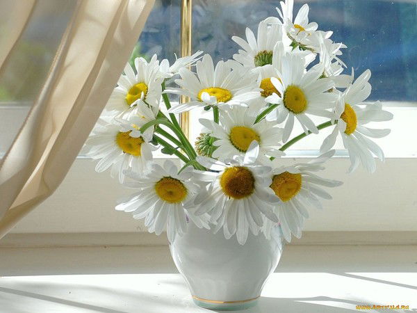 Галина Токарева