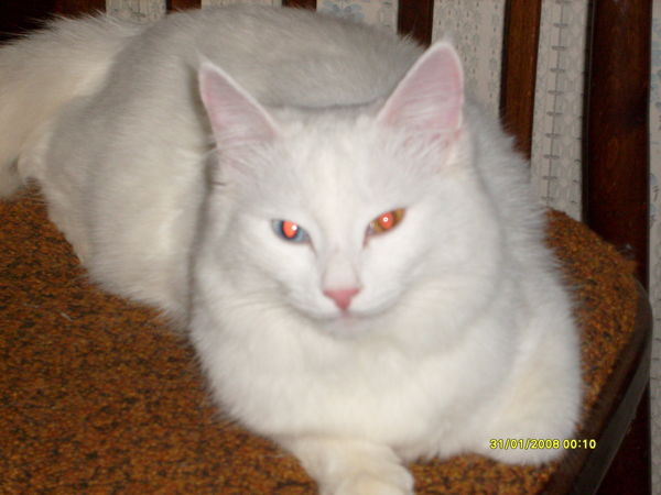 Сударикова Екатерина