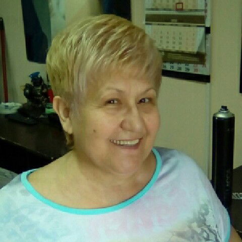 Гыльсиня Визитиу