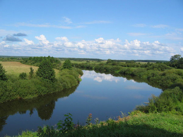 Бадей Игорь