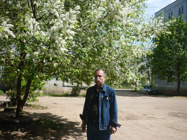 Николай Сиволоцкий