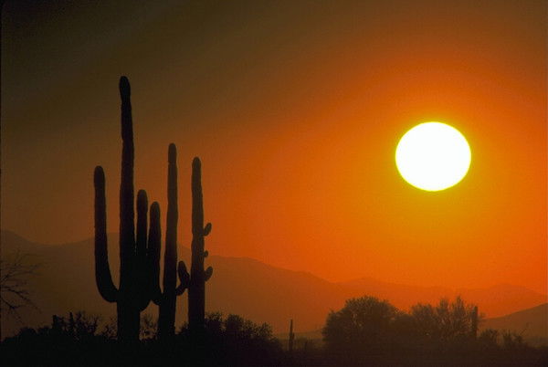 Бекзат Дадыбаев