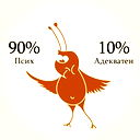 Эрик Шнайдер