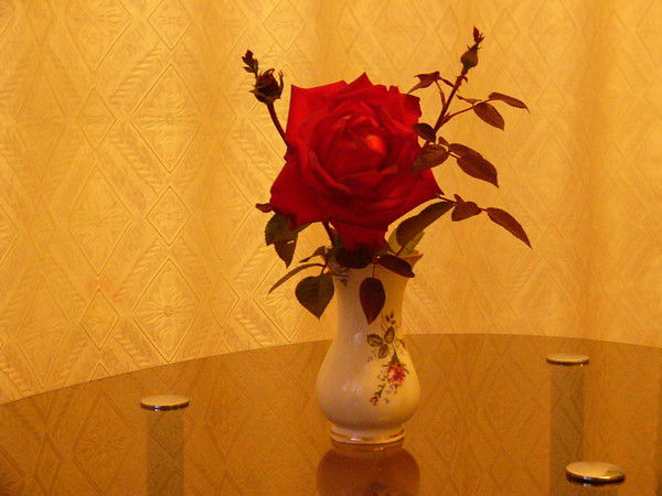 Мохунова Ольга