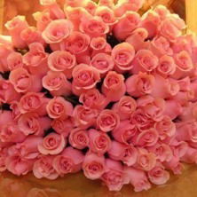 Лейла Асанова