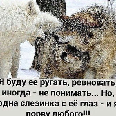 Сайфулло Мавлонов