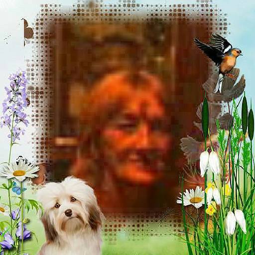 Ирина Упорова