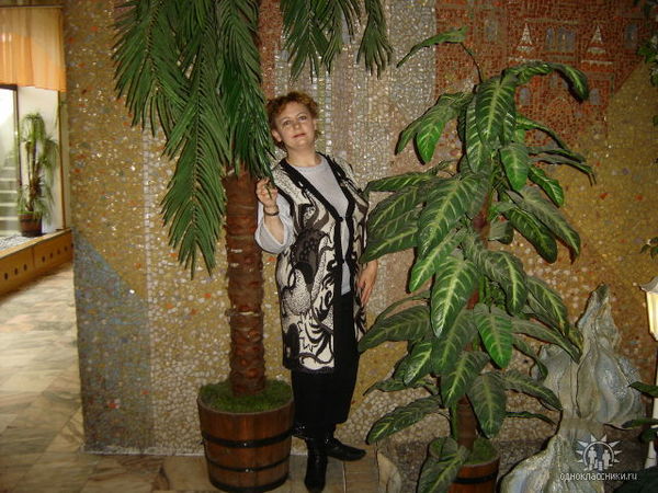 Елена Кудрина