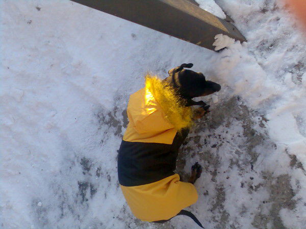 Ирина Шайдулова