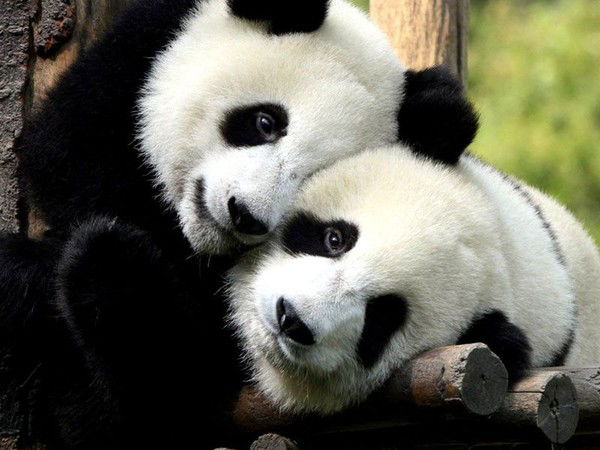 Олег Клондайк