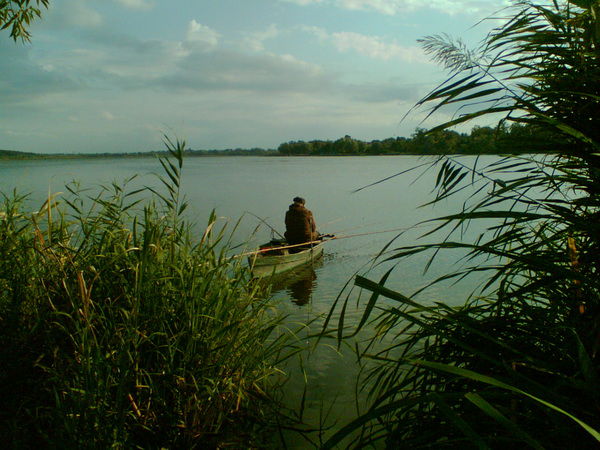 Анатолий Нет