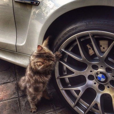 Алексей Иванов