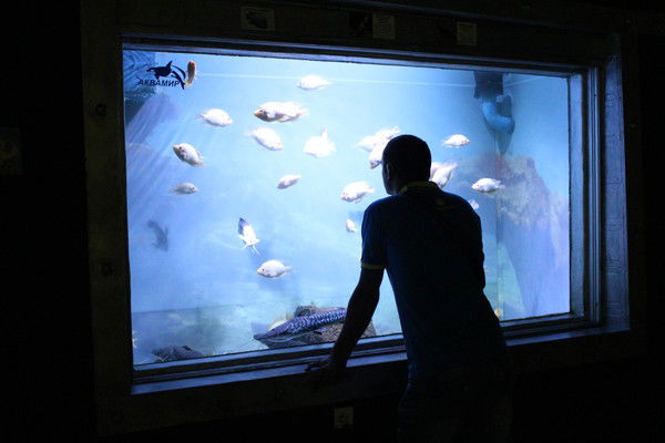 Антон Дружинин