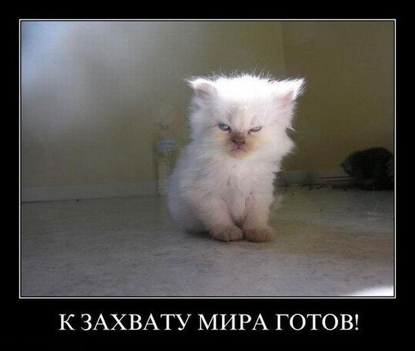 Татьяна Иванова