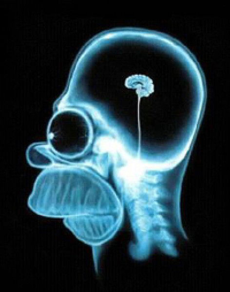 Александр Козлов