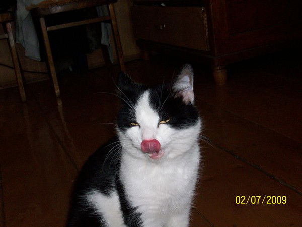 Альберт Зиганшин