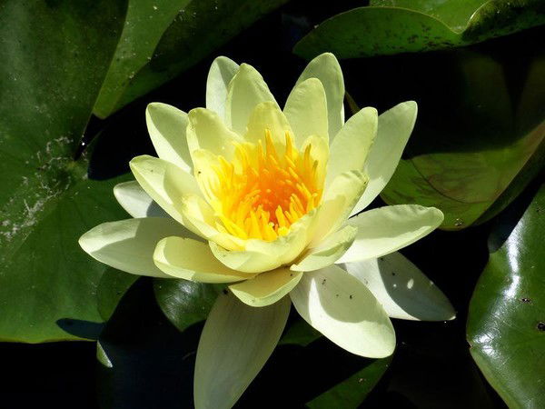 Наталья Кархут