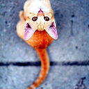 The Devilishly Happy