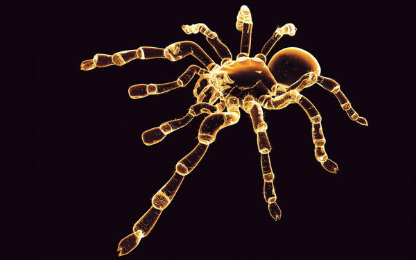 Ооо Протектор-Авто