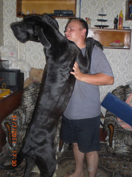 Дмитрий Шилов