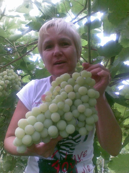 Анна Муферт