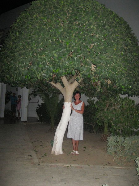 Юлия Маркелова