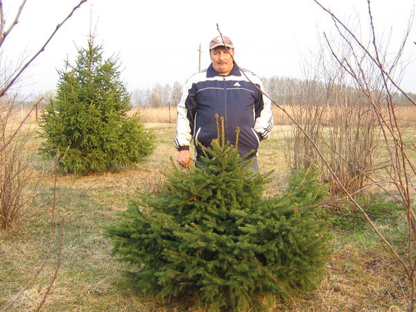 Сергей Суворов