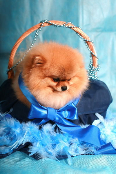 Надежда Ларькина