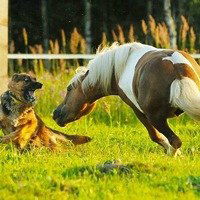 Назар Иваницький