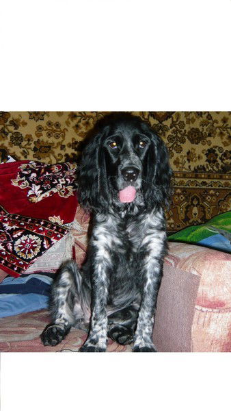 Ирина Турнаева