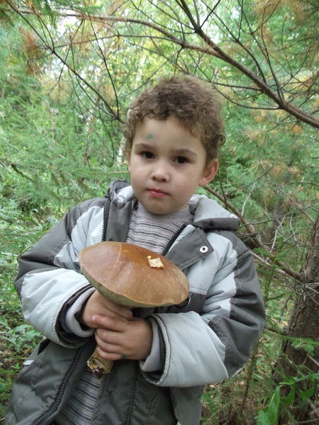 Андрей Бельтюков