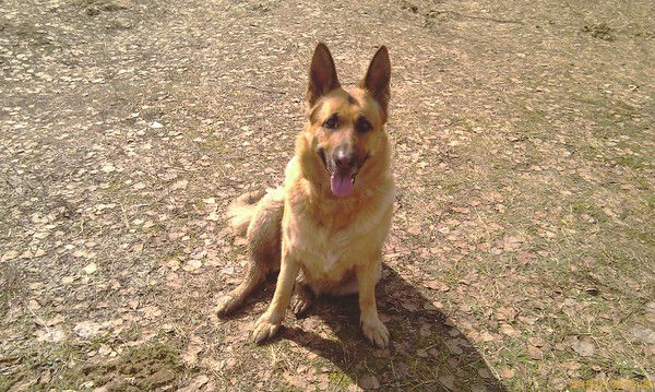 Сергей Грицук