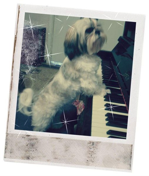 Таня Гуртовая