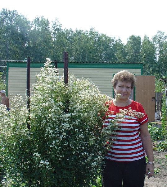 Галина Харитонова