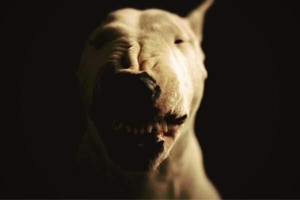 Алексей Сапко