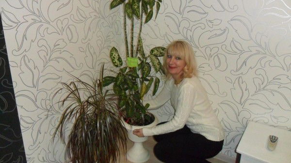 Елена Урбанович