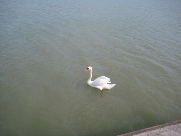 Наталия Побережная